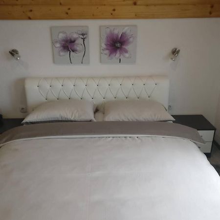 Guest House Jagoda Rakovica Ngoại thất bức ảnh